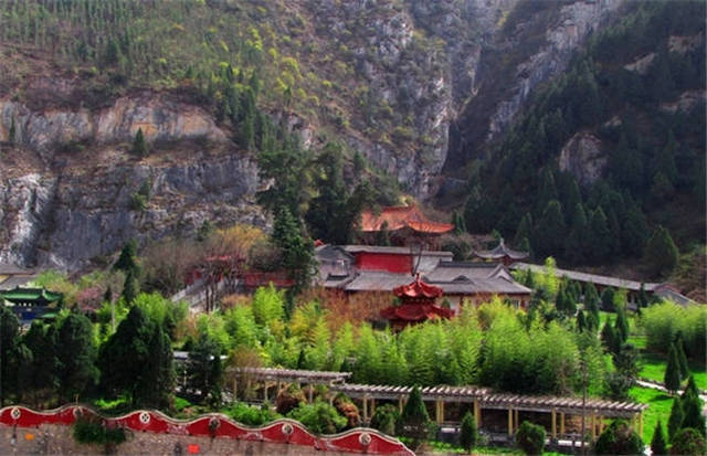 僵屍新娘 视频截图