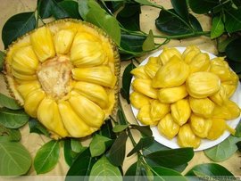 你流浪的心 视频截图