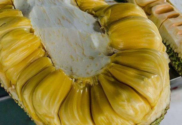 圖書館戰爭：記憶之書 视频截图