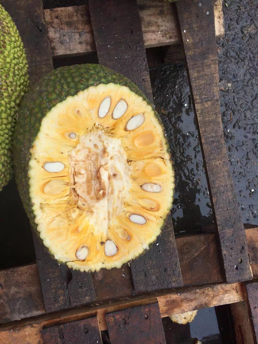 俘虜國度 视频截图