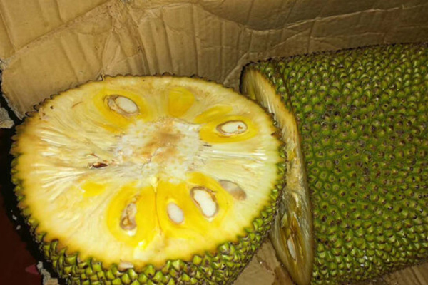 你是凶手 视频截图