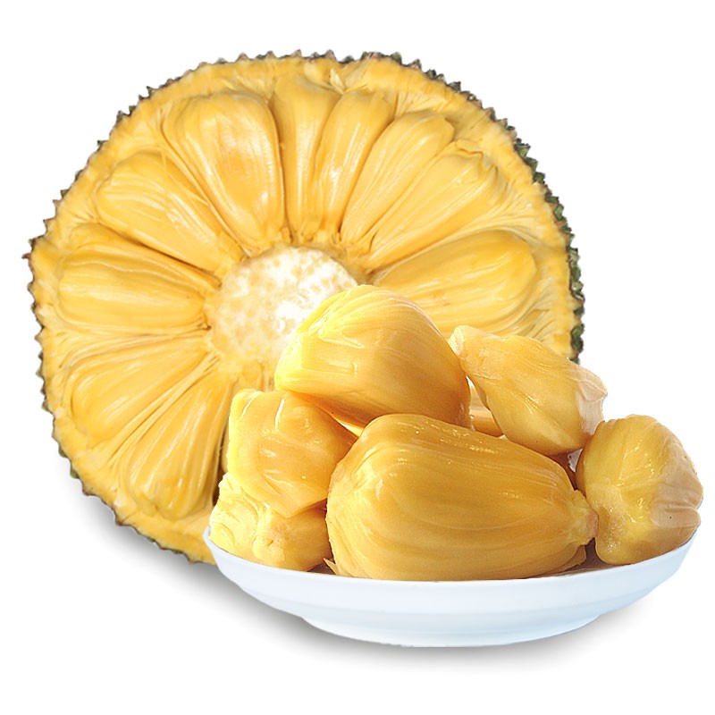 你瞅啥？外星人 视频截图