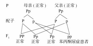 偵探拍檔 视频截图