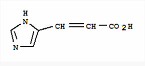 伊夫聖羅蘭傳 视频截图