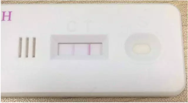 保龍一族之五音鎮魔曲 视频截图