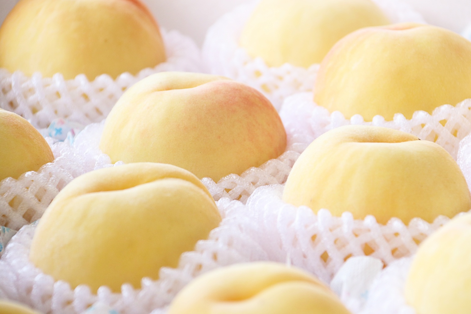 伏魔錄 视频截图