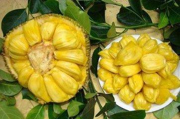 冒險家：寶盒的詛咒 产品图片