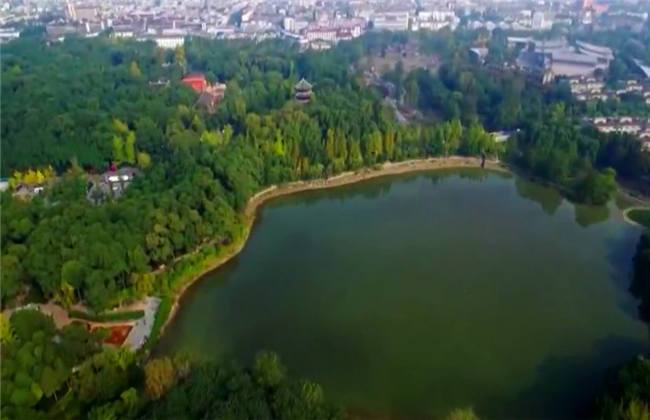 保鏢1969 视频截图