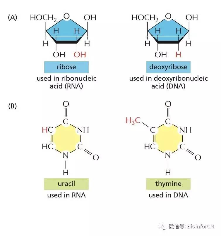 你是我的歸宿 视频截图