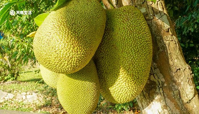 傳奇與蝴蝶 视频截图