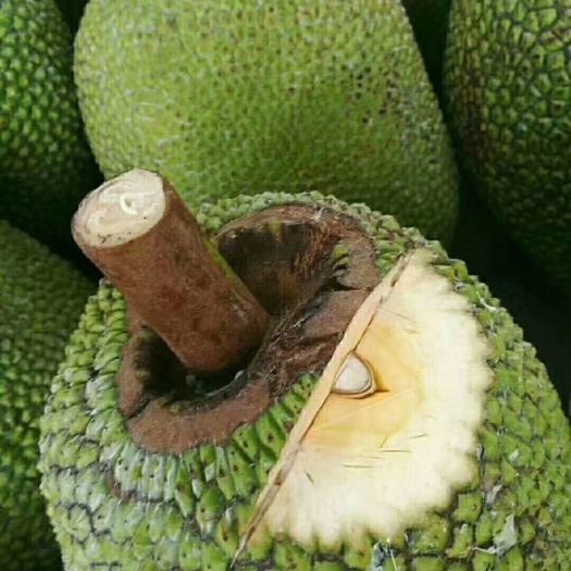 冷血狂宴 视频截图