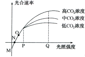 俠僧探案傳奇之白馬鏢局