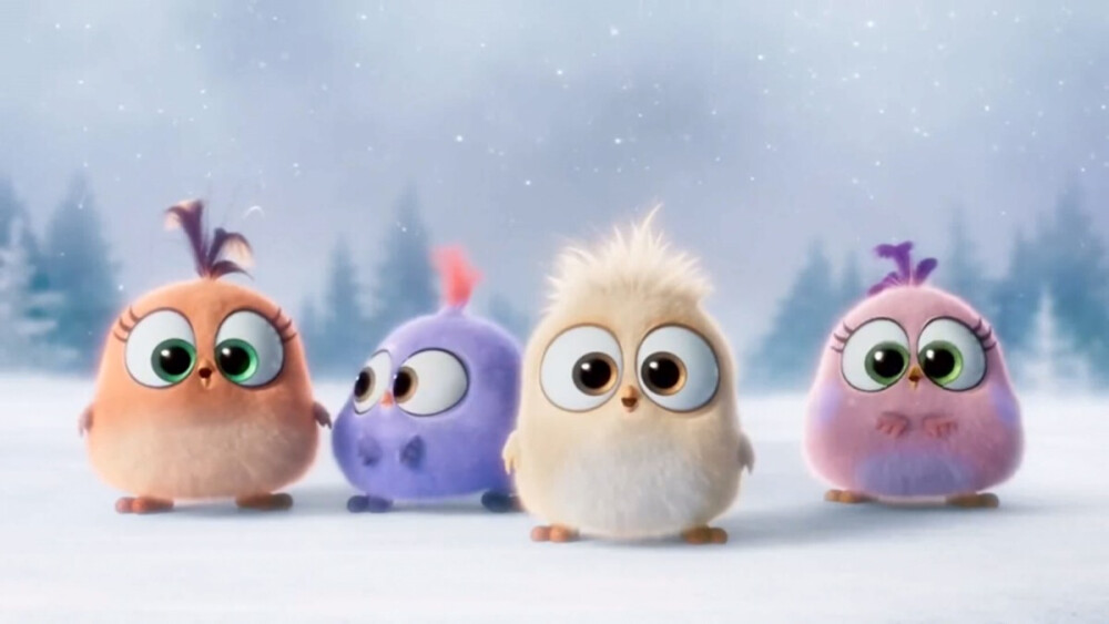 大土炮之瘋狂導演 产品图片