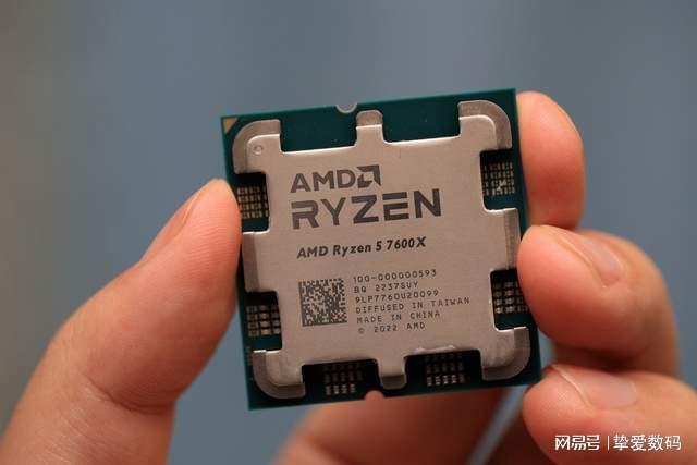 倒黴蛋 视频截图