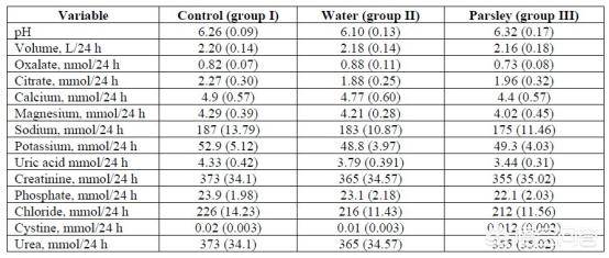 值得的等待 视频截图