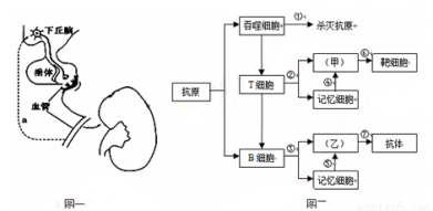 像爵士那樣憂鬱 视频截图