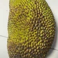 你的請求 视频截图