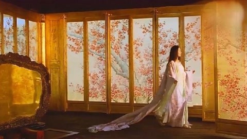 體驗撈金魚吧 视频截图