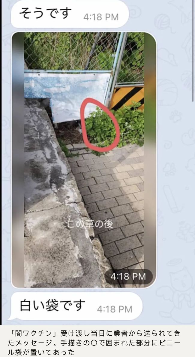 企鵝與漁夫 视频截图