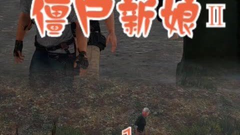 伊斯梅爾的幽魂 视频截图