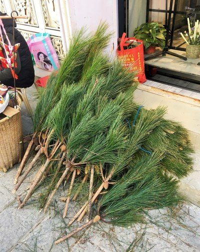 俠僧探案傳奇之白馬鏢局 视频截图