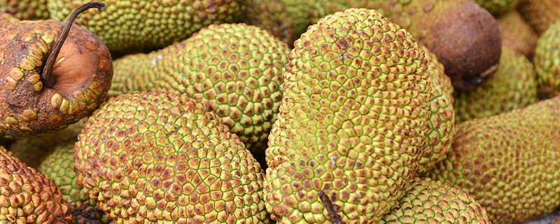 修女傳 视频截图