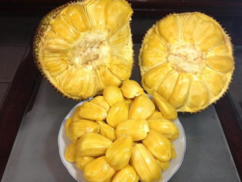 體育皇後1934 视频截图