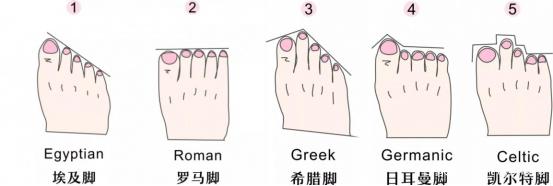 便攜門 产品图片