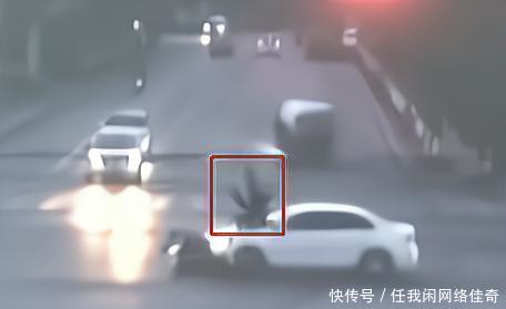 冰風暴 视频截图