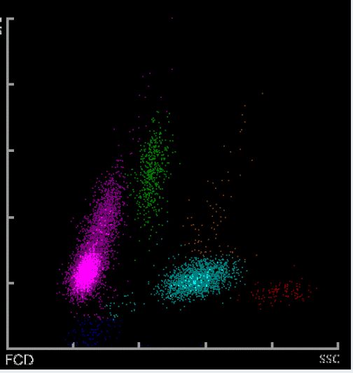 俄羅斯之錘 视频截图