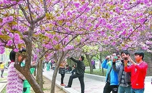 修女傳 视频截图