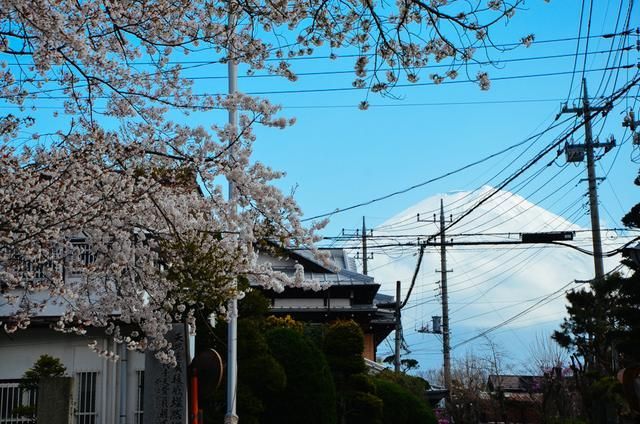 僵屍 2013 视频截图