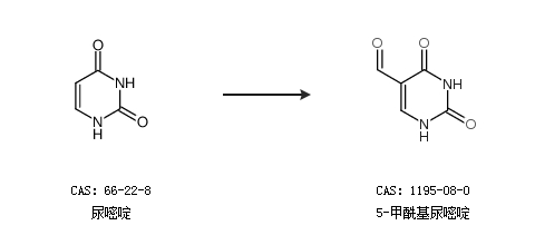 俄羅斯突襲 视频截图