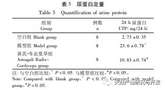 假如你很富有 视频截图
