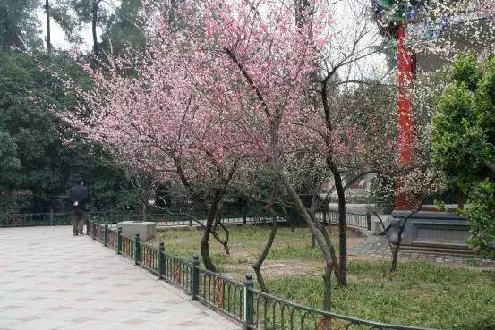 俠骨柔情赤子心 视频截图