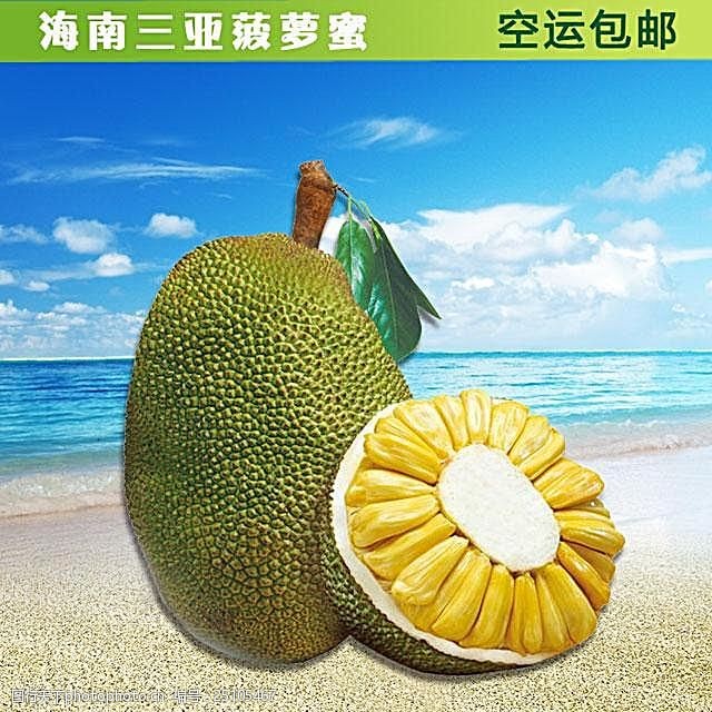 仙貓傳 产品图片