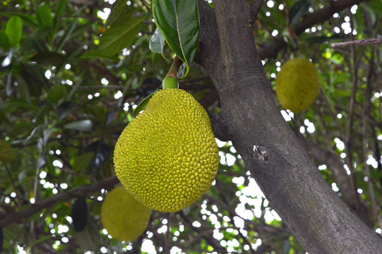 俠在江湖漂 视频截图