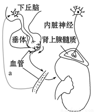 冰雪奇緣 视频截图