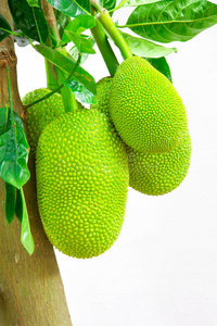 伊夫聖羅蘭傳 视频截图