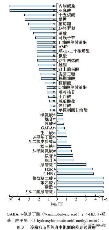 他，我們見過 视频截图