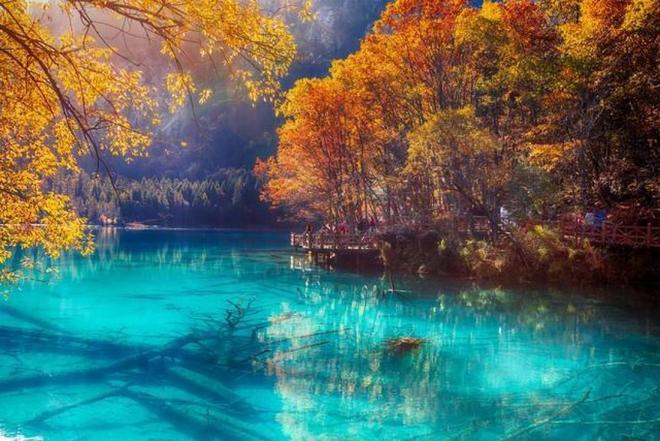 偵探麻理子一生中最悲慘的日子