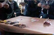 佐羅傳奇 产品图片