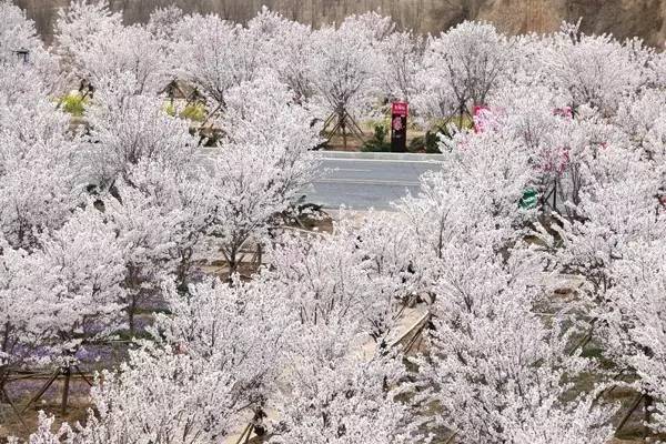 冬雪暖陽 视频截图