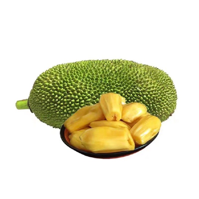 侏羅紀公園 视频截图