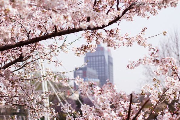 伏妖攻略之穿牆探花 视频截图