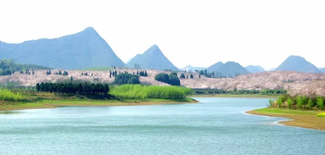 冒險家：寶盒的詛咒 视频截图