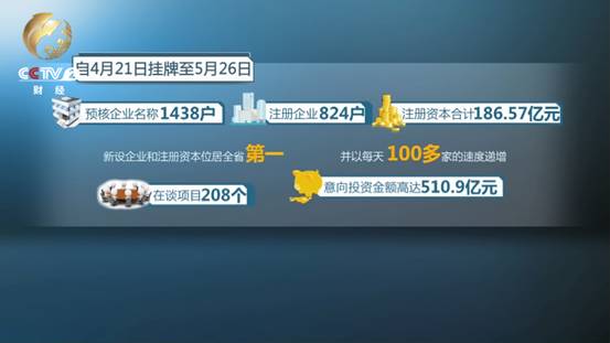 冒牌刺客 视频截图