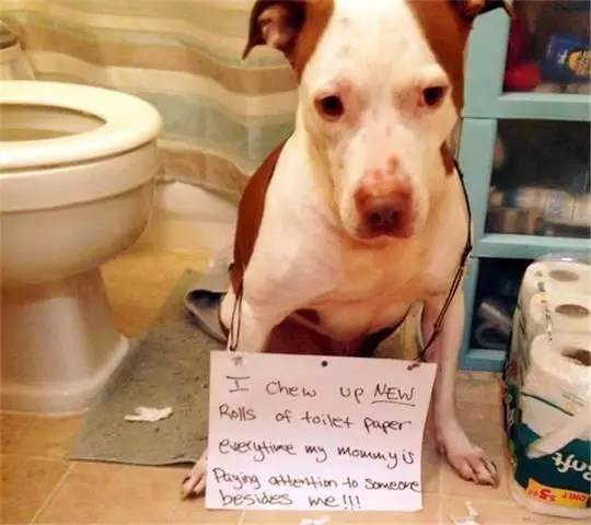 堅強的小孩 视频截图