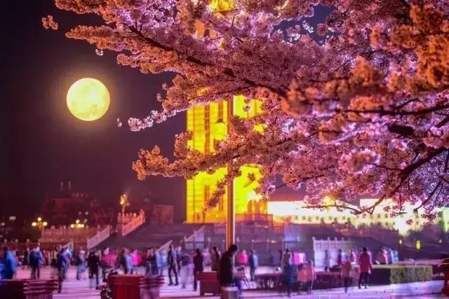 餘興派對 产品图片