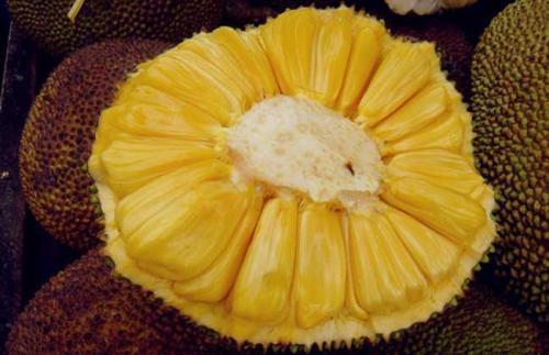 你們不該在這裏 视频截图